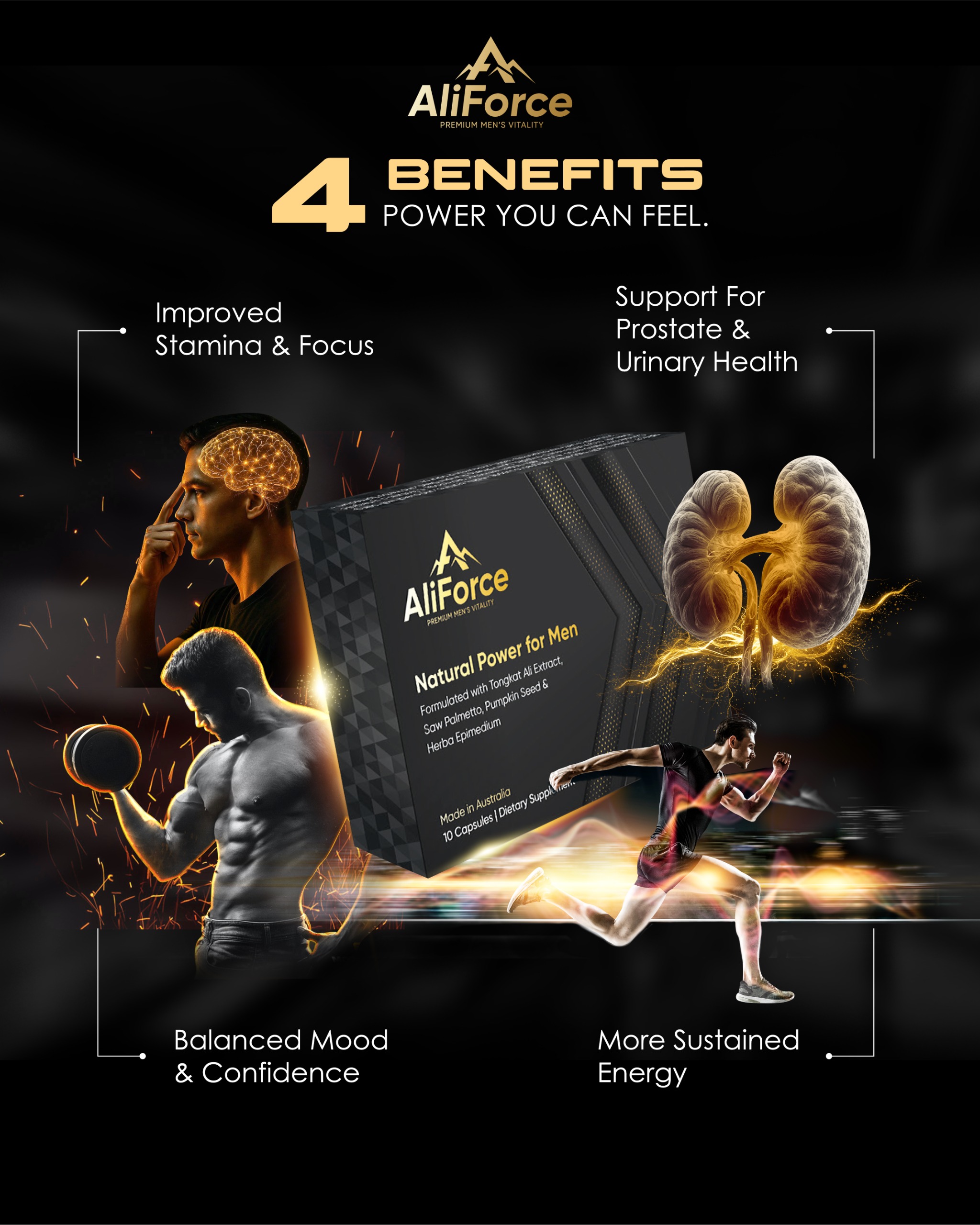 AliForce product description panel 4